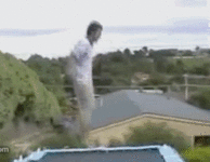 gif fall off trampoline and get ****ed by dog.gif