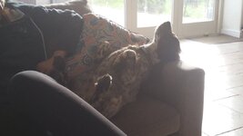 20161120_133442.jpg
