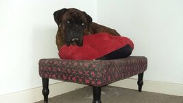 20160616_074134.jpg