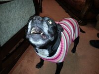 20151118_175700.jpg