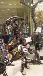 IMG-20161217-WA0048.jpeg IMG-20161217-WA0048.jpeg