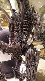 IMG-20161217-WA0052.jpeg IMG-20161217-WA0052.jpeg
