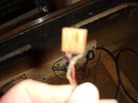SV201137.JPG