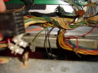SV201145.JPG