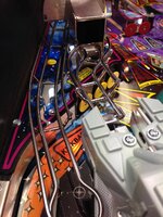 IMG_2560.jpg