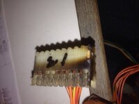 ImageUploadedByTapatalk1387881711.281361.jpg