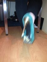 ImageUploadedByTapatalk1389137046.815686.jpg