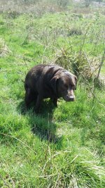 20160508_132637.jpg