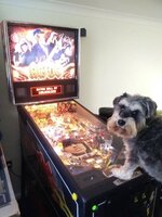 IMG_20170110_132236.jpg