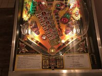 IMG_3981.JPG