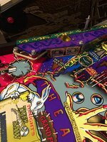 IMG_7313.jpg IMG_7313.jpg