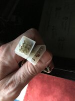 IMG_7733.JPG