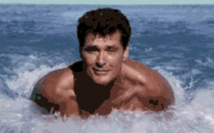 gif hoff.gif