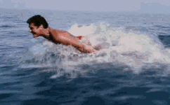 gif hoff2.gif