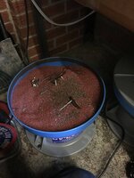 IMG_4338.JPG