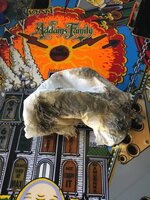 IMG_4351.JPG