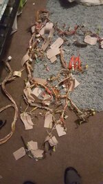 20170220_191054.jpg