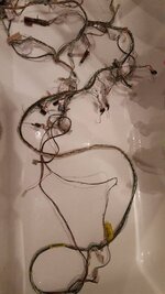 20170219_184544.jpg