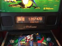 IMG_1015.JPG