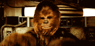 giphy (4).gif