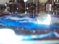 DSC01910.JPG