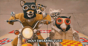 giphy (13).gif