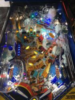 IMG_5118.JPG