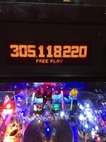 IMG_8537.JPG