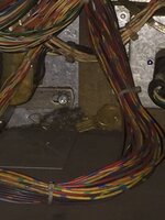 IMG_1547.JPG
