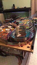 IMG_6040.JPG