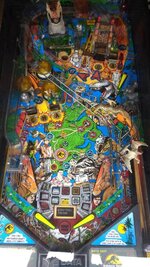 IMG_20170627_174553739.jpg