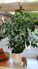 20170806_073300.jpg