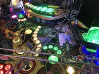 IMG_0400.JPG