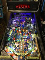 IMG_0231.JPG