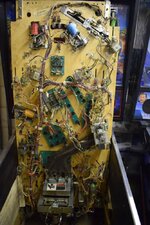 SSC_0080.JPG