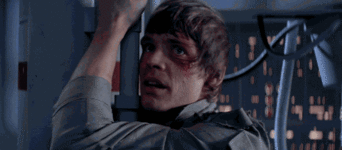 giphy (13).gif