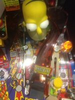 image.jpeg