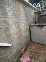 IMG_20170624_112323.jpg