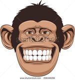 stock-vector-vector-illustration-of-cheerful-monkeys-208188286.jpg