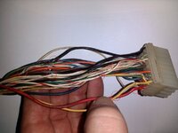 Chewed cables copy.jpg