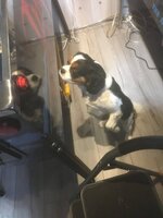 5C5B6087-65EB-4862-9AE9-58E17AF831B8.jpeg
