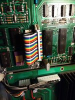 Installed ribbon.jpg