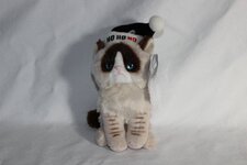 grumpycathoho.JPG
