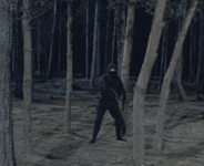 giphy (29).gif