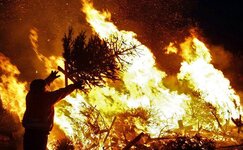 Christmas_tree_farm_fire.jpg Christmas_tree_farm_fire.jpg