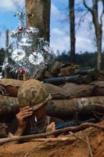 f809894b84a49e1b5a32ebe0fb735a52--vietnam-vets-vietnam-history.jpg