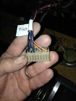 IMG_7050.JPG