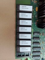 ROMs labelled (Medium).jpg