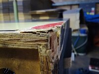 IMG_20180216_165509_800x600.jpg