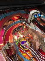 IMG_9868.JPG